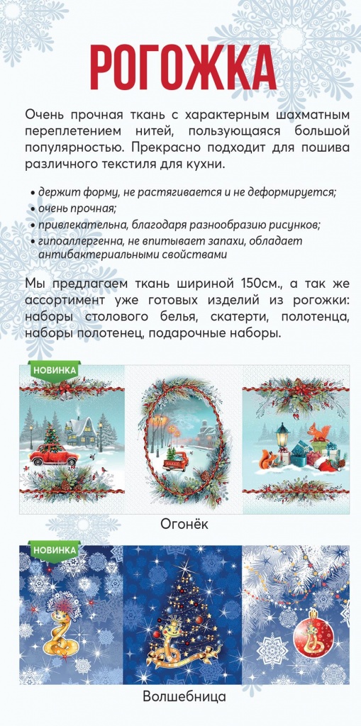 Лифлет_НГ_2025-2.jpg