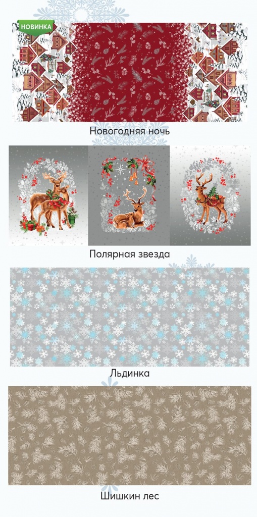 Лифлет_НГ_2025-5.jpg