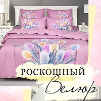 Новинки в велюре – приятный сюрприз для ценителей прекрасного